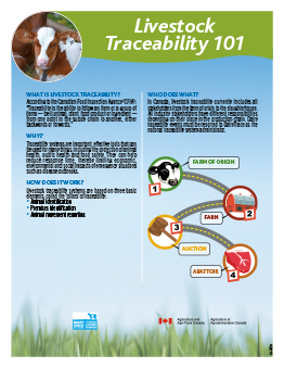 LivestockTraceability101_EN